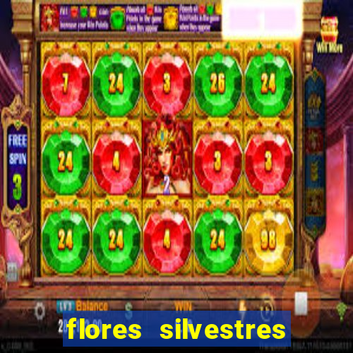 flores silvestres desbravadores desbravadores 25